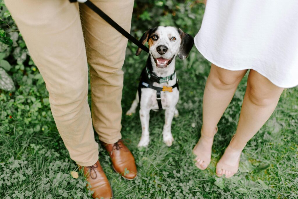 couple in a garden with dog 