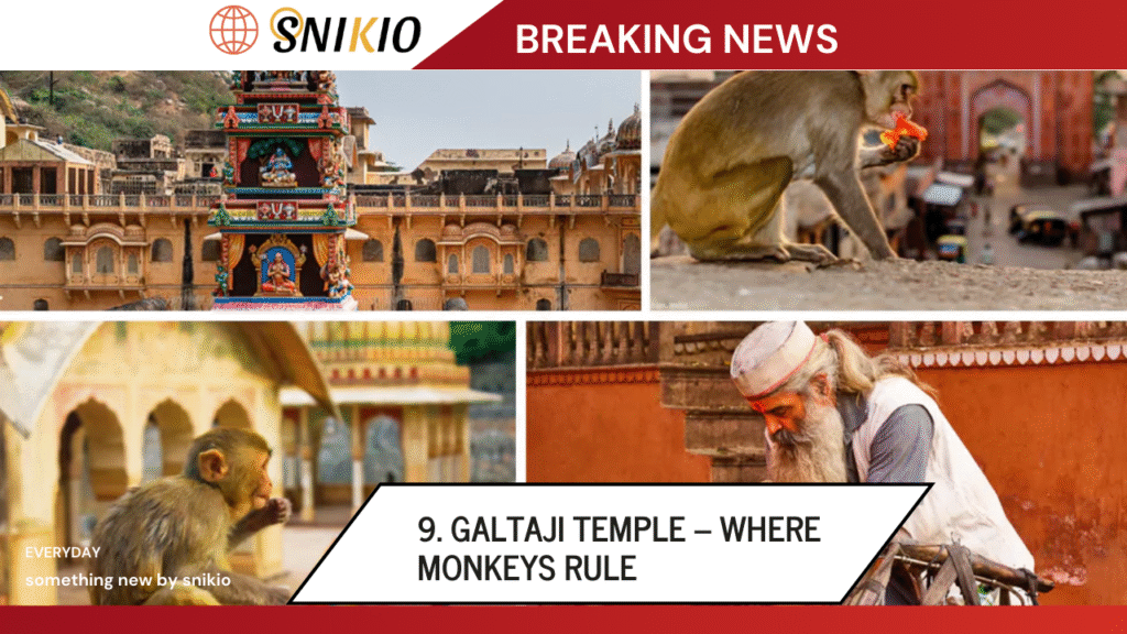 Galtaji Temple – Where Monkeys Rule