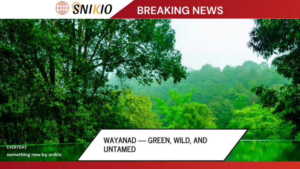 Wayanad — Green, Wild, and Untamed
